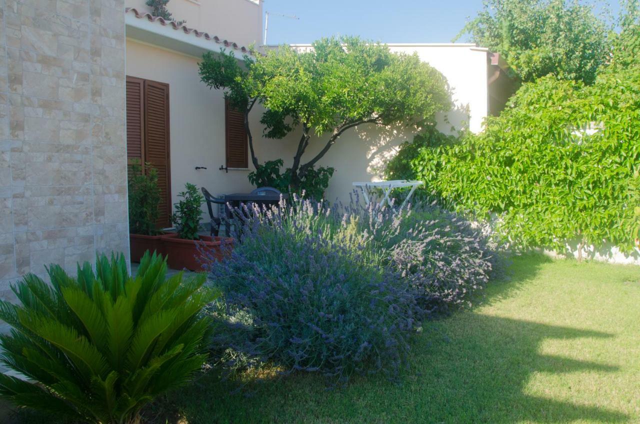 Baia Benessere B&B Eco Vegan Santa Severa Exterior foto